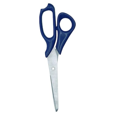 Fackelmann Multipurpose Scissors with Stainless Steel Blades and Ergonomic PP Handles, Blue and Silver
