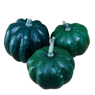 Black Cat Pumpkin
