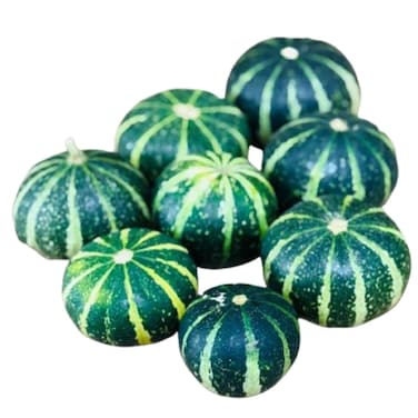 Flatt Striped Pumpkin