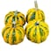 Kamo-Kamo Pumpkin