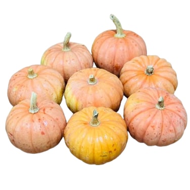 Sofia Pink Pumpkin