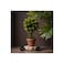 Natural Artificial Bonsai Tree 30Cm Artificial Tree in Plastic Pot with Moss Grass.