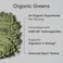 Sports Research Organic Pineapple Coconut Greens, Digestive Health, Natural Energy &amp; Mood Support, Certified Organic Powder, 20 Servings