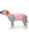 DAYONG Dog Jumpsuit, Anti Shedding Hair Dog Onesie with 4 Long Sleeves, Universal Dog Pajamas Home Suits, Postoperative Recovery Suit for Small, Medium, Large Dogs (Pink, Medium)
