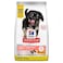 Hill's Science Plan Perfect Digestion Medium Puppy Dry Food With Chicken And Brown Rice (2 kg)