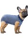 Recovery Suit for Dog,Dog Sterilization Surgical Gown,Pet Recovery High Elastic Breathable,Nursing Clothes for Dogs After Weaning and Sterilization (Blue and white stripes, XS(4-8 Ib))