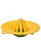 Squeezer - Bright Yellow &amp; Green