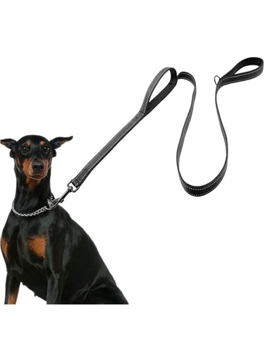ECO-CLEAN Dog Leash for Large Dogs, 2 Handles for Extra Control, 6 FT Long with Reflective Stitch for Night Walking