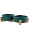 Arabest Pet Ceramic Bowl, Durable Ceramic Dog and Cat Bowl, Dog Food Bowl with Wooden Stand and Non-Slip Pads, Double Dog Bowls for Food and Water (Green)