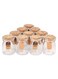 Lady 10-Piece Glass Jar With Cork Lids And Label Set Clear/Brown 100ml