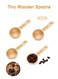 Pack Wood Measuring Scoops for Canister, 1 Tablespoon Beech Coffee Scoop Measuring Spoons for Coffee Beans, Ground Coffee, Protein Powder, Spices, Tea and Bath Salt