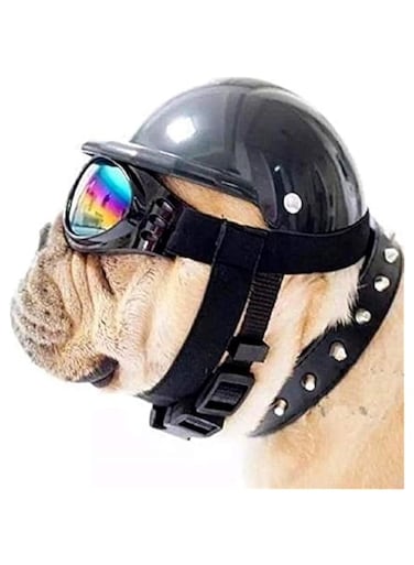ZDALQDMJ Cool Pet Dog Helmet Ridding Cap Soft Padded Safety Hat Puppy Sun Protection Windproof Rainproof Outdoor Activities Pet Hat Protect Cap Toy Great Birthday for Small Medium Cats Dogs(Black M)