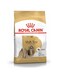 Royal Canin Shih Tzu Adult Dry Dog Food - 1.5KG