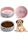 NALACAL 2 Pcs 5 Inch Ceramic Dog Bowl Cartoon Pattern Cat Bowl Dog Food Bowls Cute Heavy Dog Water Bowl Durable Dog Dishes for Small Dogs Pets Feeding Travel, Dishwasher Safe and Microwave Safe