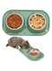ANTOLE Cat Bowls for Food and Water,Removable Stainless Steel Double Bowls with Non-Slip Bottom,Elevated Stand for Pet and Small Dog,Non-Spill Cat Food Bowls