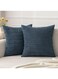 IIEPECA 2 Pack Cushion Covers Soft Cozy Plush Short Faux Wool Velvet Decorative Sofa Throw Pillow Covers Luxury Cushion Case Pillow Shell for Couch Sofa Bedroom Pillow Square (Blue, 18x18inch)