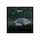 GT3 Plus Camping Tent   2&ndash;3 Person   Lightweight, UV-Proof, Windproof, Easy Carry