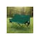 Twin Foldable Camping Chair - Double Loveseat, 300kg Capacity, 600D Oxford, Green