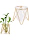 Glass Vase with Metal Stand, Gold Geometric Flower Vase, Small Vase for Wedding, Table Centerpieces, Living Room, Plant Terrariums for Propagating Hydroponic, Terrarium Container Propagation Station