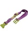 Ferplast Club Collar, C20/56, Purple