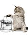 Sausiry LP100 Cat Water Fountain, Dog Water Dispenser, Automatic Pet Drinking Fountain with Faucet Kits, 64oz/1.8L Super Quiet, Transparency