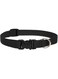 Lupine Dog Collar 15-25, Black, 3/4 inch