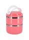 Delcasa 2 Layer Portable Stainless Steel Lunch Box, Assorted Colors, 1100 ml, DC1622