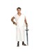 Forum Novelties Men's Gods and Goddesses Unisex Costume Toga