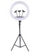 LED Ring Light with Adjustable Tripod for YouTube and TikTok Videos