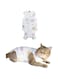 ShabeEat Cat Recovery Suit - Breathable Cat Surgery Recovery Suit Female, Cat Onesie for Cats After Surgery, Cat Spay Recovery Suit Female Abdominal Wounds - Kitten, Medium