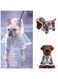 Pet Raincoat, White Transparent M Size, Small Dog Waterproof Clothes Rain Jacket Puppy Transparent Poncho Rainwear Clothes for Small Dog, Outdoor Pet Supplies Puppy Teddy Poodle Bichon Dog Raincoat