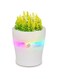 Portable Mini Humidifier, 150ml Small Cool Mist Humidifier with Colorful LED Night Light, with 7 Color Light, Auto Shut-Off Personal Desktop Humidifier for Bedroom Office Travel, USB Rechargeable