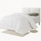 Linen Klub Anti Microbial Quilt - Outer Cover: 100% Microfiber w/ Anti Microbial Treatment , Filling: 200gsm Soft Fibersheet