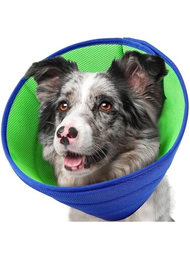 HOOTO Dog Cone Collar for Dog After Surgery, Adjustable Dog Recovery Cone Collar for Large Medium Small Dogs, Prevent Pet Puppy Bite Licking Scratching Touching, Help Dog Healing from Wound XL