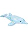 Intex Lil Dolphin Pool Floater, Multi-Colour, 58535