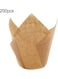 Baking Cupcake Liner Wrapper Paper Beige