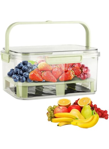 TERRIFI Fruit Storage Berry Keeper with Lid and Handle, Portable Food Saver with Ice Pack, Keeps Fruit, Vegetables, Meat Fresh, Ideal for Picnic, Office, Refrigerator (Green)