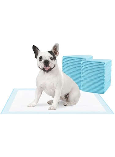 DELIFUR Dog Disposable Training Pads- Dog Cat Training Pads Pee Pads for Pets Leak-Proof 5 Highly Layers 50 Pcs Pee Pads for Cats Dogs. (Blue 45*60cm)