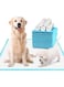 TOMVAES Dog Pee Pad,50 Pieces 60x60cm Puppy Potty Training Pet Pads Super Absorbent Pet Dog Diaper Dog Pads Extra Large Disposable Super Absorbent &amp; Leak-Free Pee Pads(Thickened -50PCS-60 * 60)