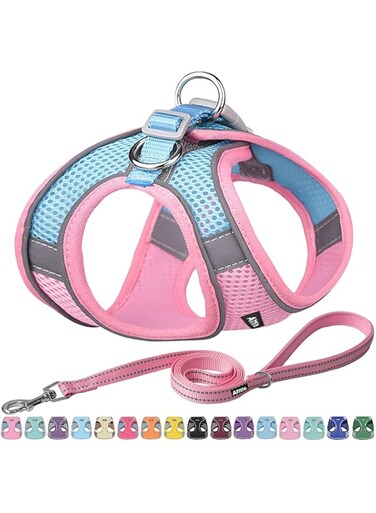 AIITLE Step in Dog Harness and Leash Set - Reflective No-Pull Pet Vest Harness with Super Breathable Mesh for Outdoor Walking, Training for Small Dogs, Cats Pink XXS