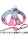 AIITLE Step in Dog Harness and Leash Set - Reflective No-Pull Pet Vest Harness with Super Breathable Mesh for Outdoor Walking, Training for Small Dogs, Cats Pink XXS