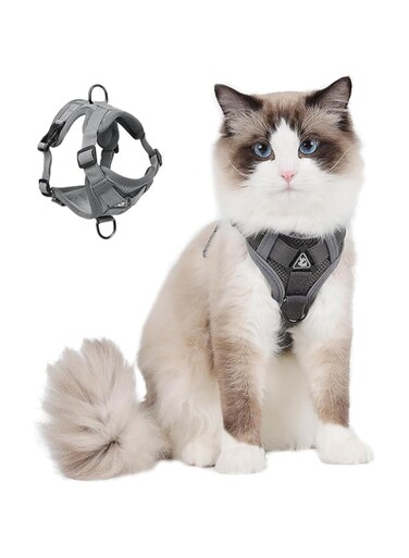 GEPAS Cat Harness and Leash Set Escape Proof, Kitten Leash for Walking, Adjustable Triangle Cat Vest Leash Made of Mesh, Step in Dog Harness for Small Dogs, Grey, L
