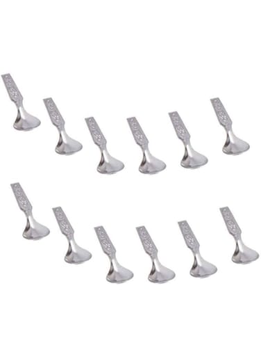 Garden Of Arts Stainless Steel Tea/Coffe and Spice Box Spoons Set of 12 (Silver)