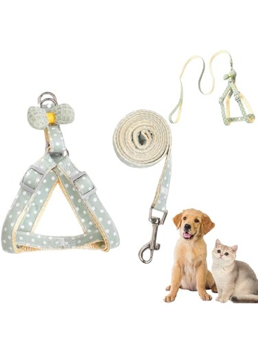 PETSARY Adjustable Dog Harness Leash Set - Lightweight and Soft Padded Vest with Leash and Cute Bows - Easy to Put On &amp; Take Off Polka Dot Pattern - Suitable for Small Medium-Sized (M, Green)