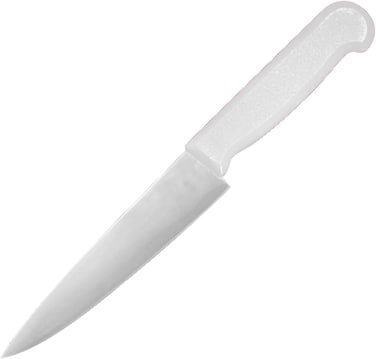 Master 6 Inch Stainless Steel Professional Chef Knife (White)