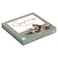 Guylian The Original Seashells Belgian Chocolates with Hazelnut Pralin&eacute; Filling, 250g