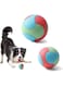 Gezipvn 2 Pack Rubber Dog Ball,Dog/Cat Training &amp; Chewing Ball,High Bounce Chew Resistant Dog Ball Sets for Small Medium &amp; Large Dogs