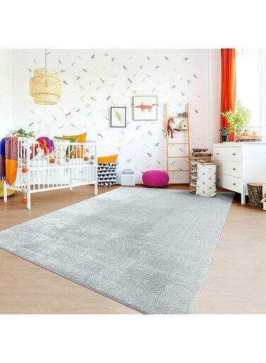 Area Rug