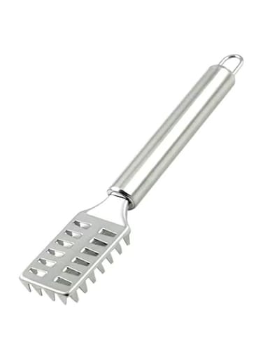 Scale Remover Silver 20centimeter