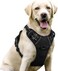 Harness  -D-PH006 - L